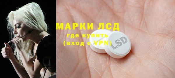 винт Алзамай