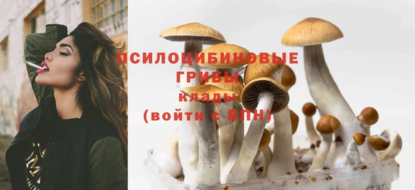 скорость Алексин