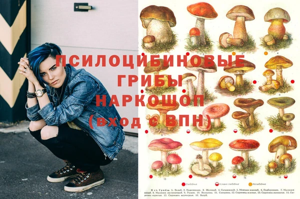скорость Алексин