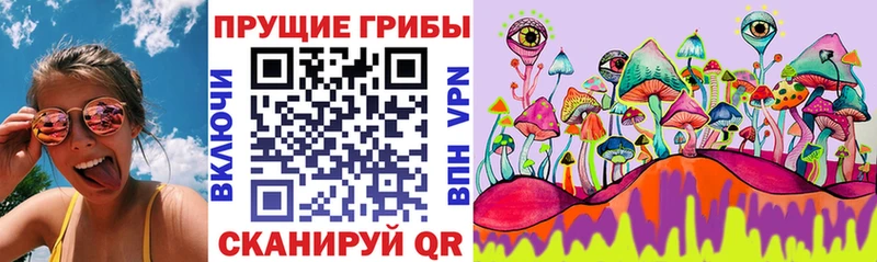 блэк спрут tor  Полярные Зори  Галлюциногенные грибы прущие грибы  где найти  